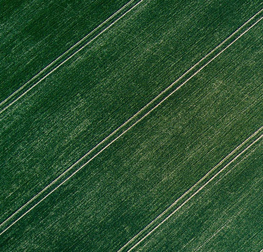 Aerial view of green agricultural fields with long parallel crop rows forming diagonal lines across the landscape.